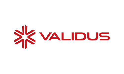 Validus Dynamic Job Opportunity: Join as Finance Operation Executive, Remote - 2 Years of Experience