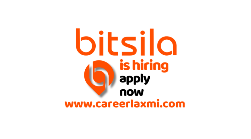 Join Bitsila as Team Lead - Seller Onboarding | INR 400,000 - 500,000 p.a. | Hybrid Work | Pune - Apply Now!